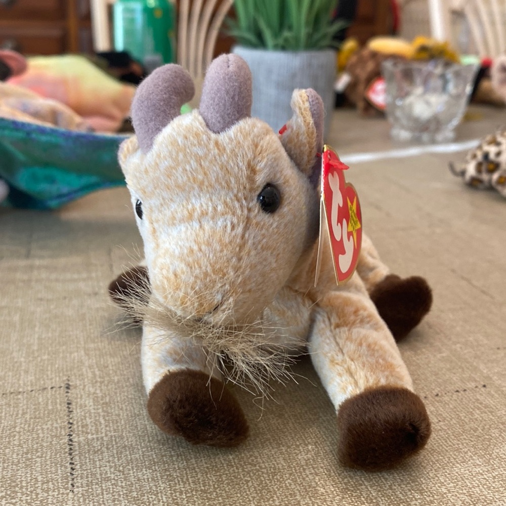 1999 goatee beanie baby
